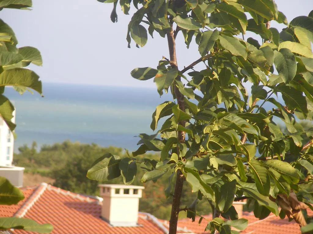 Guest House 